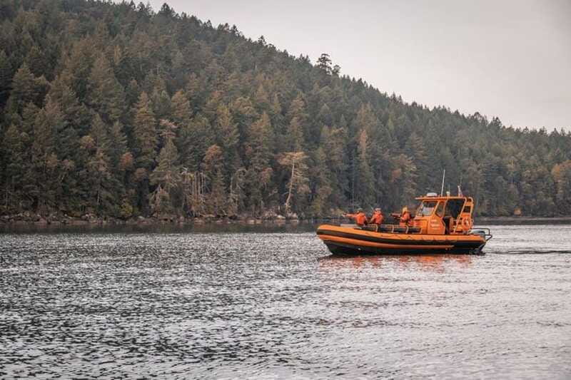 Nanaimo: Whale Watching Open Boat Tour - About an hour with the whales