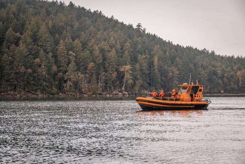 Nanaimo: Whale Watching Open Boat Tour - Crossing the Salish Sea by open boat