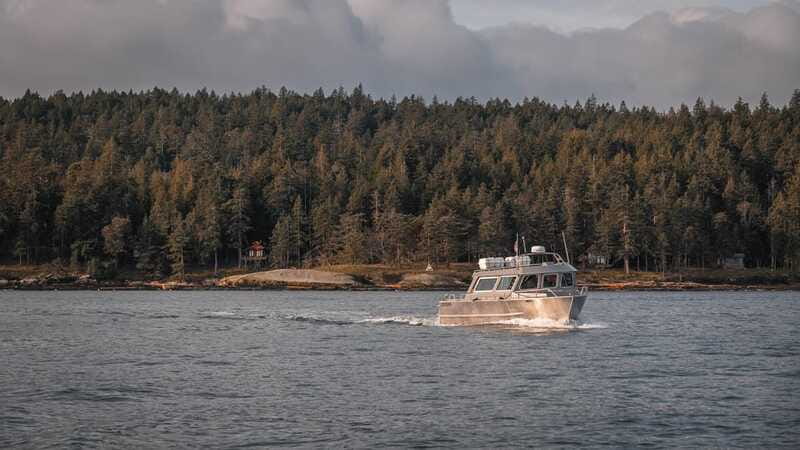 Nanaimo: Whale Watching Semi-Covered Boat Tour - Booking timing and cancellation flexibility