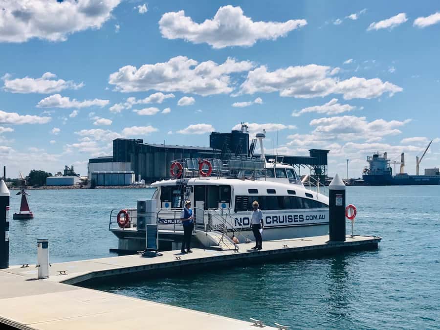 Newcastle: Humpback Whale Watching Cruise and Harbor Tour - Choosing the best viewing position