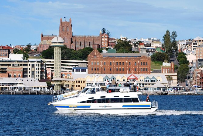 Newcastle Whale Watching Cruise - The harbour, beaches, and offshore search