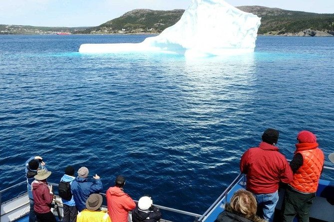 Newfoundland Puffin and Whale Watch Cruise - Stop One: Gatherall’s Puffin And Whale Watch