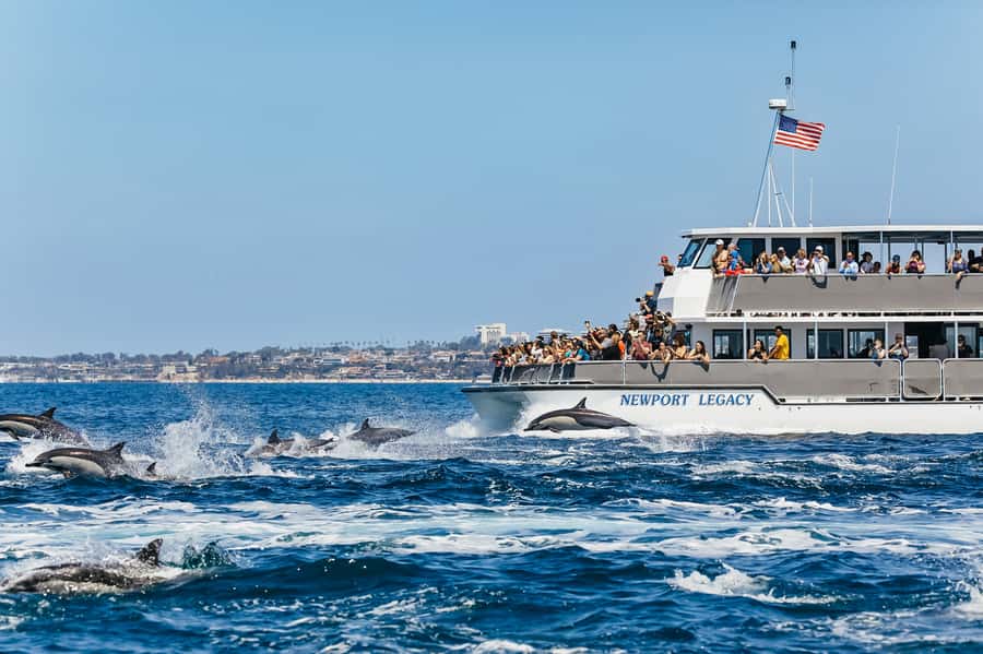 Newport Beach: 2-Hour Whale Watching Tour - Why this Newport cruise is worth considering
