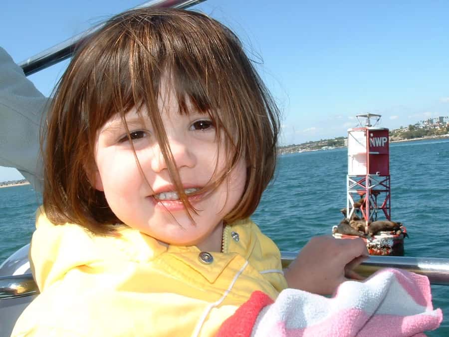 Newport Beach: 2-Hour Whale Watching Tour - The two-hour wildlife search