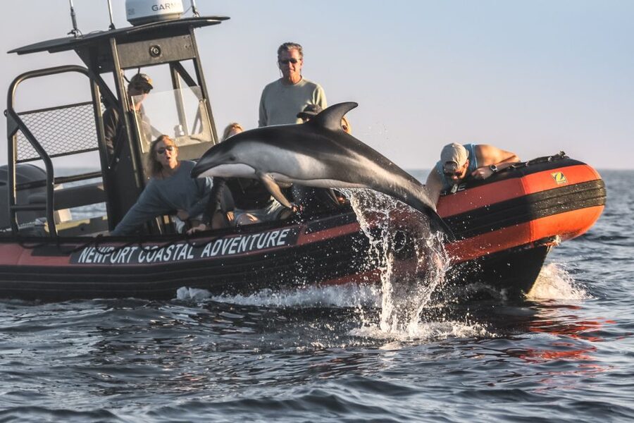Newport Beach: Ultimate Whale Watching Adventure - The first views: Newport’s coast from the water
