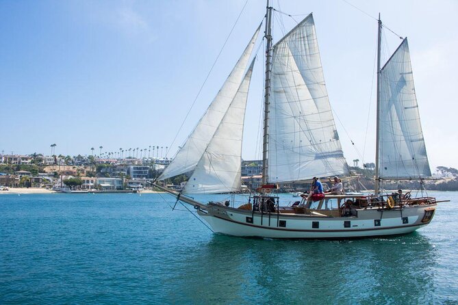 Newport Beach: Whale and Dolphin-Watching Cruise - Five Things to Know Before You Go