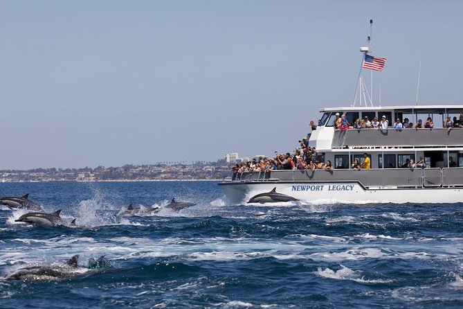 Newport Beach: Whale and Dolphin-Watching Cruise - What the Crew Adds to the Experience