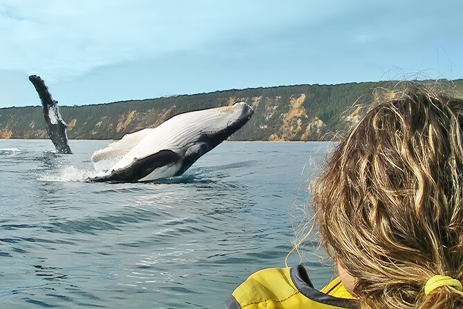 Noosa: Epic Whale Watching On Ocean Kayaks & Beach 4X4 Tour - Key points to know before you book
