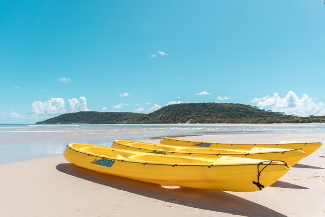 Noosa: Epic Whale Watching On Ocean Kayaks & Beach 4X4 Tour - Dolphins, turtles, rays, and seabirds