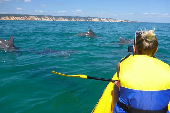 Noosa: Epic Whale Watching On Ocean Kayaks & Beach 4X4 Tour - Fitness, weight limits, and family suitability