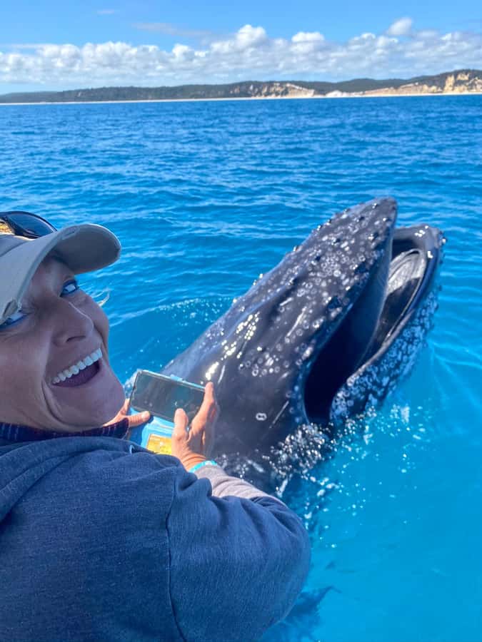 Noosa; Noosa Ocean Adventures - Whale Watching - Key points before you book