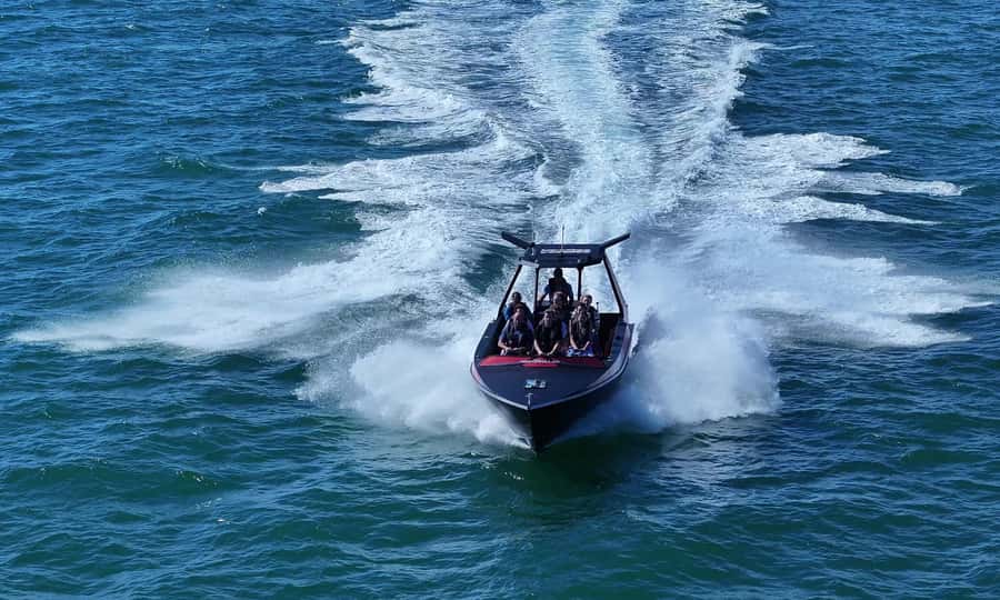 Noosa; Noosa Ocean Adventures - Whale Watching - Who will enjoy this Noosa whale trip?