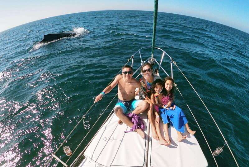 Nuevo Vallarta: Whale Watching by Sailboat Tour - Key points to know before booking
