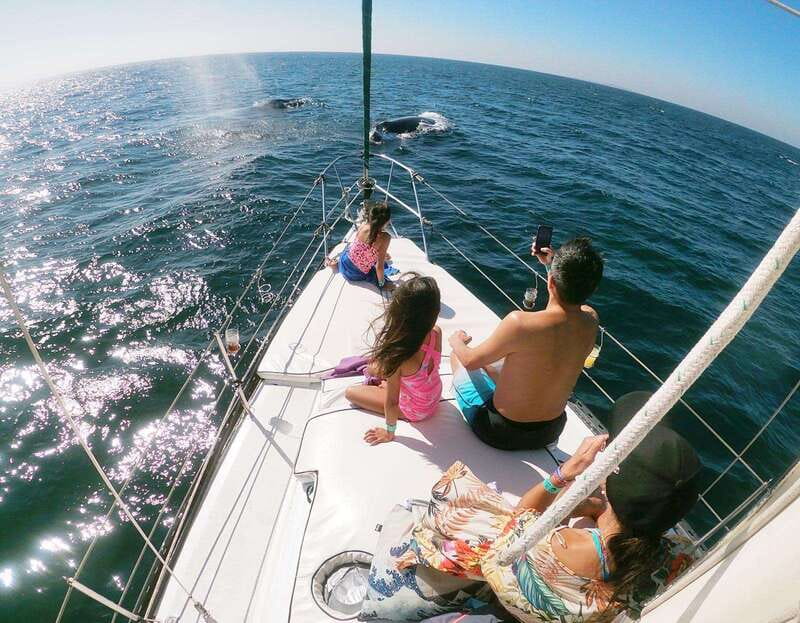 Nuevo Vallarta: Whale Watching by Sailboat Tour - Breakfast, drinks, and snacks while you scan the water