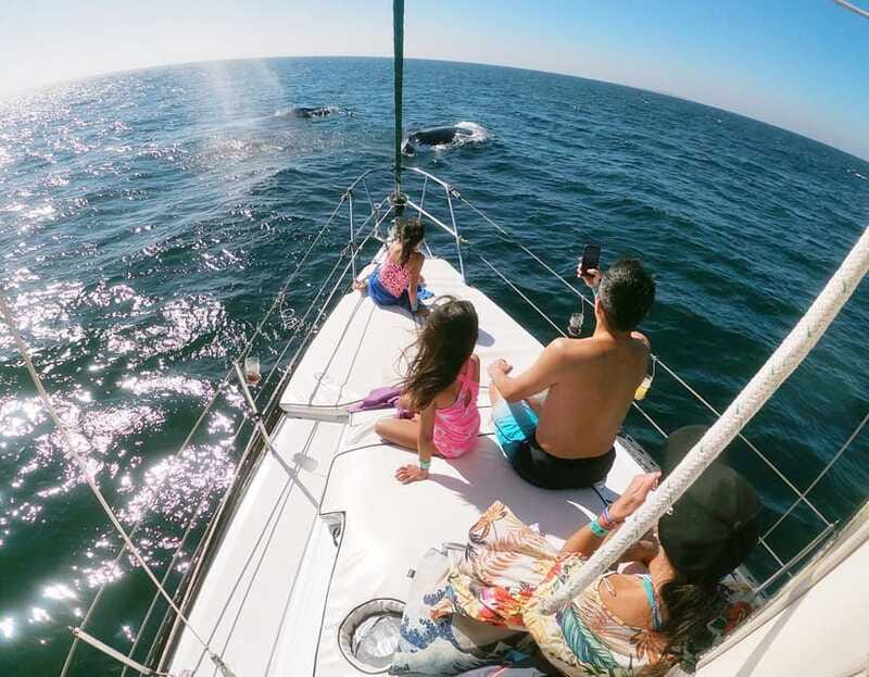 Nuevo Vallarta: Whale Watching by Sailboat Tour - What the guide and crew add