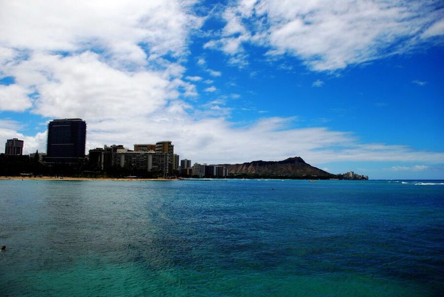 Oahu: Waikiki Eco-Friendly Afternoon Whale Watching Trip - Why the afternoon timing works
