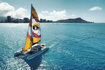 Oahu: Waikiki Eco-Friendly Morning Whale Watching Cruise