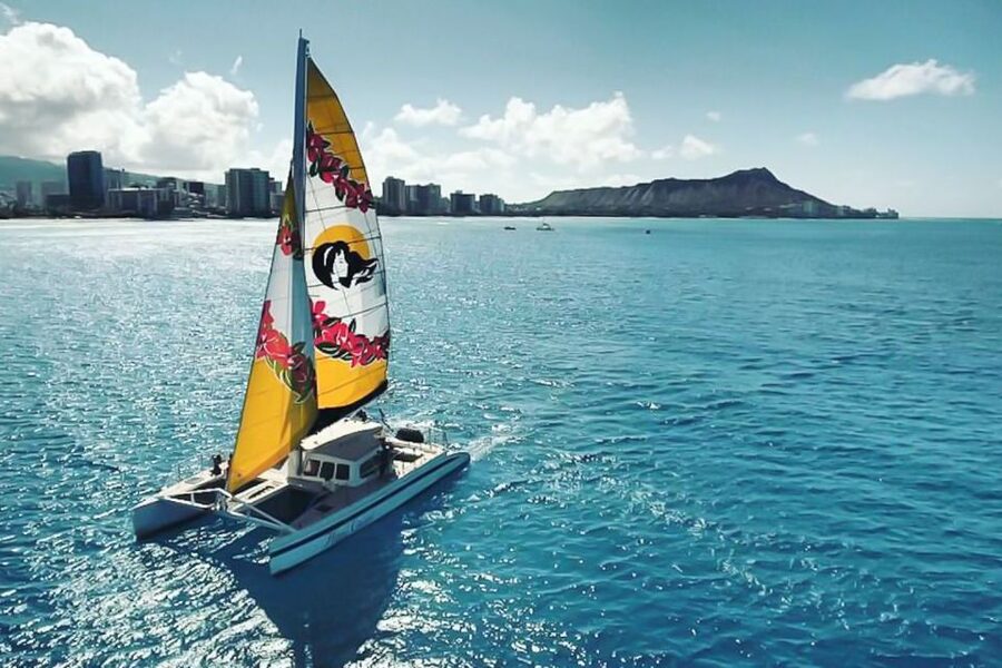 Oahu: Waikiki Eco-Friendly Morning Whale Watching Cruise - What the Honu Lani ride feels like