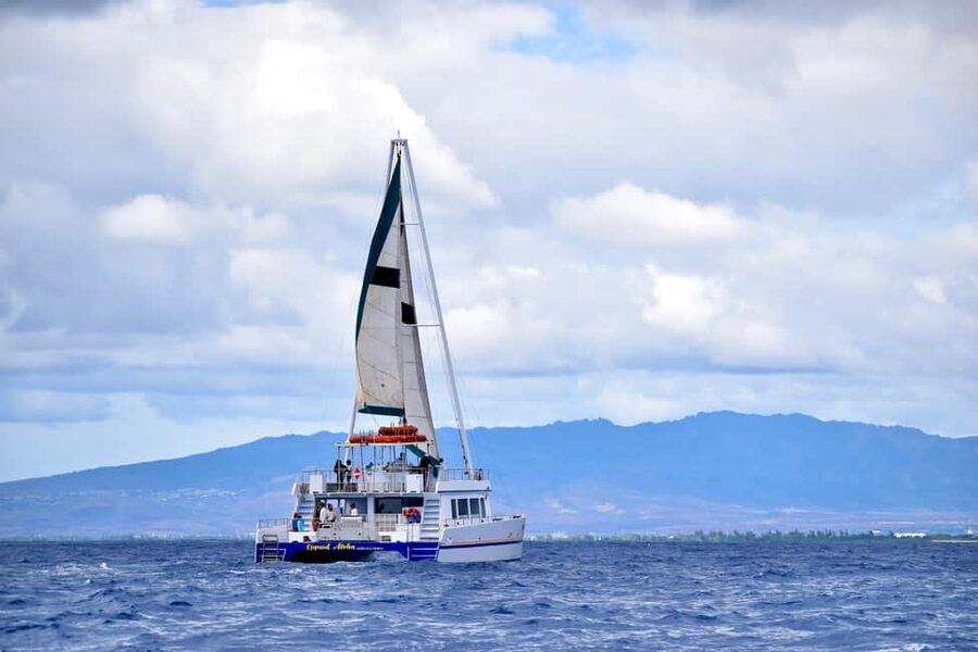 Oahu: Waikiki Whale Watching Cruise - Key points to know before boarding