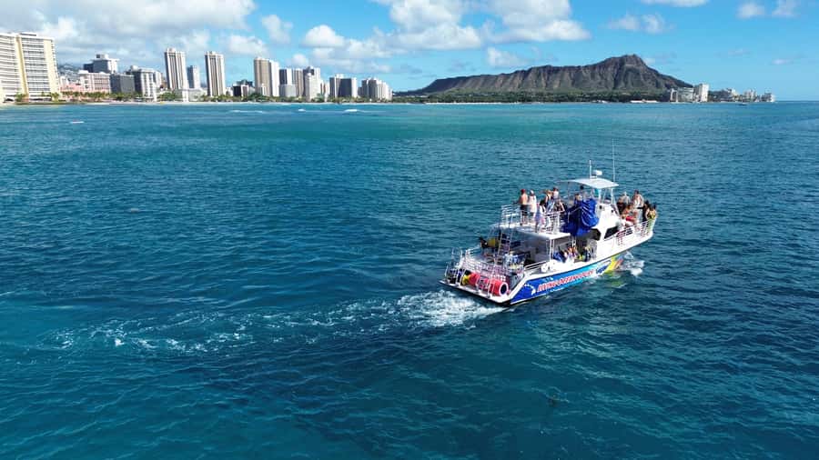 Oahu: Whale Watching Cruise Whales Guaranteed - Why Oahu’s winter whale season matters