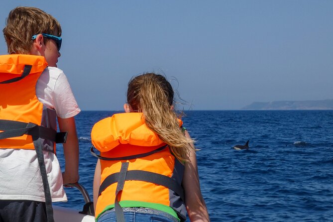 Observation of Dolphins and Whales with Marine Biologist in Arrábida - Who will enjoy this most?
