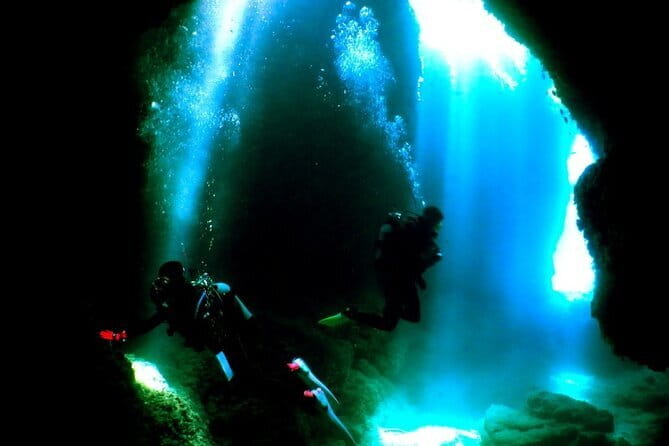 Okinawa:Kerama Islands experience Diving/Snorkeling/WhaleWatching - Snorkeling gives mixed groups an easy option