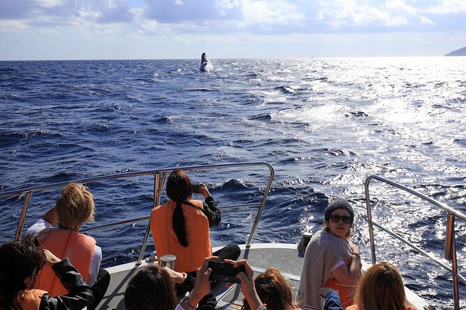 Okinawa Whale Watching From Naha - From Naha Harbor to the Kerama Islands
