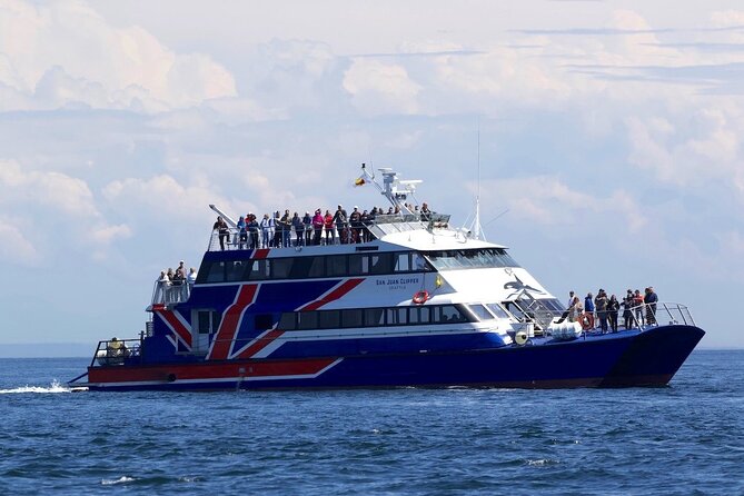 Only Wildlife and Whale Watching Tour Leaving from Seattle - How good is the value at $153.64?