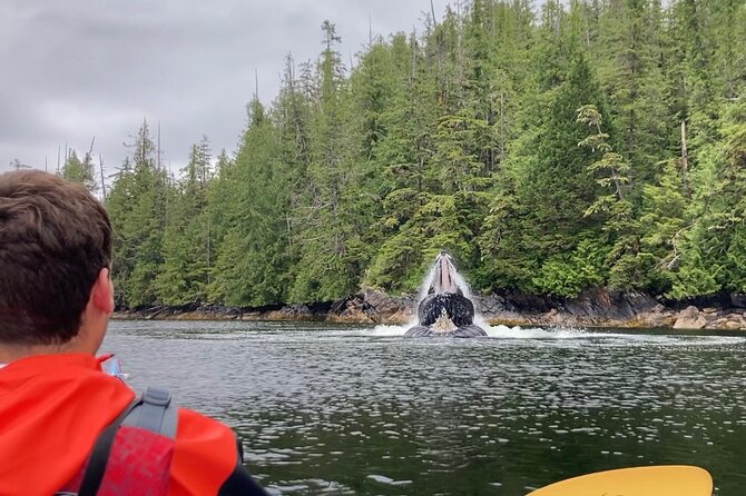 Orca Cove Sea Kayaking - Key points at a glance