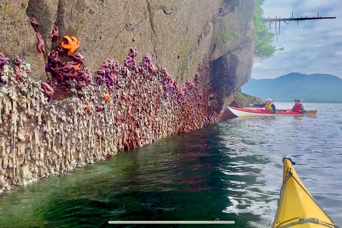 Orca Cove Sea Kayaking - Is $175 a fair price?