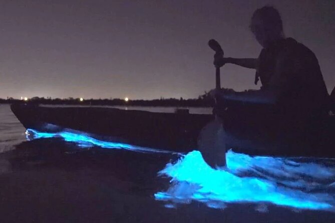 Orcas Island Bioluminescence Kayaking Tour - Key points to know before booking