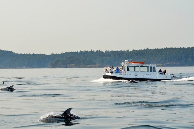 Orcas Island Whale Watching - Is $119 a fair price?