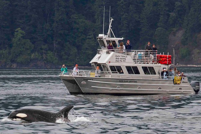Orcas Island Whale Watching - What the first hour on the water feels like