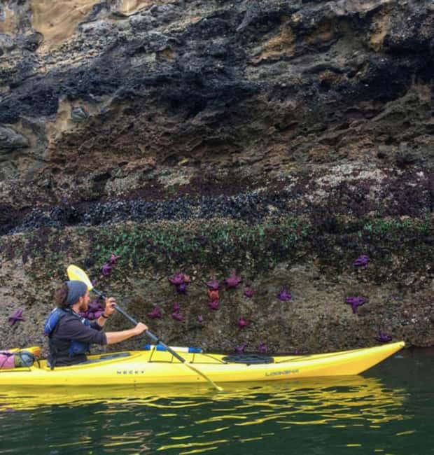 Orcas Island: Wildlife Spotting Kayak Tour - From Eastsound to the West Beach Launch
