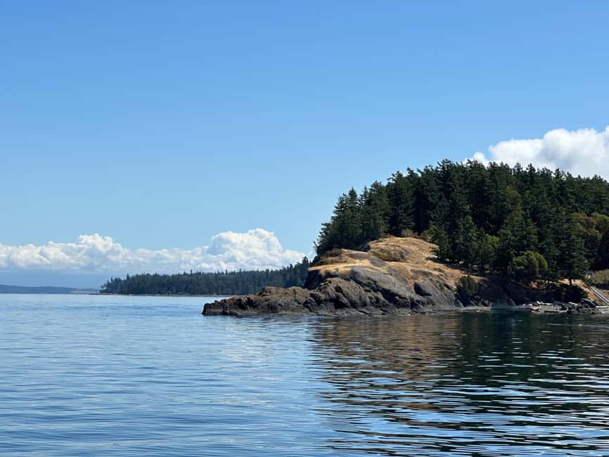 Orcas Island: Wildlife Spotting Kayak Tour - Point Doughty State Park and the Beach Landing