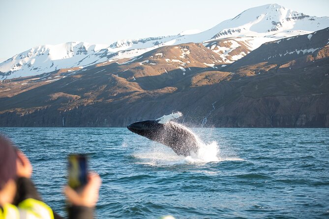 Original Carbon Neutral Whale Watching Tour from Húsavík - Húsavík harbor and the first practical detail