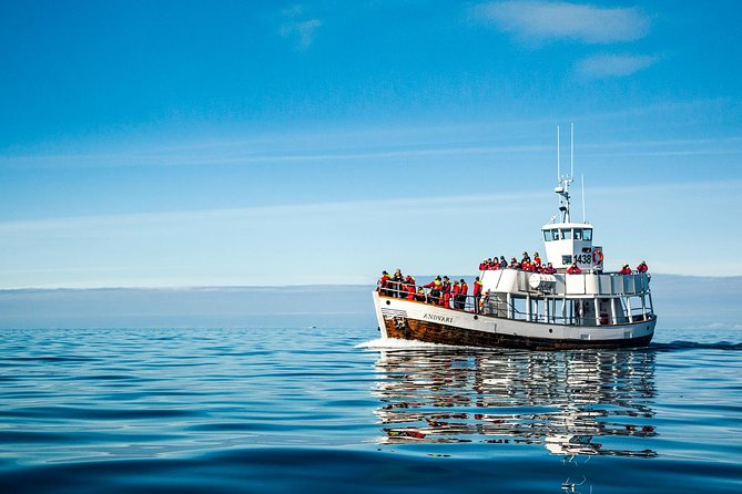 Original Carbon Neutral Whale Watching Tour from Húsavík - Meeting the humpbacks and minke whales