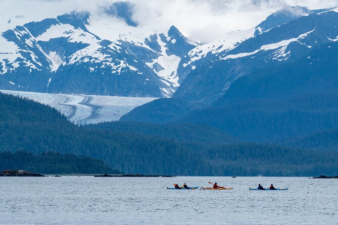 Paddle with Whales Kayak Adventure Juneau - Why this Juneau whale trip feels different