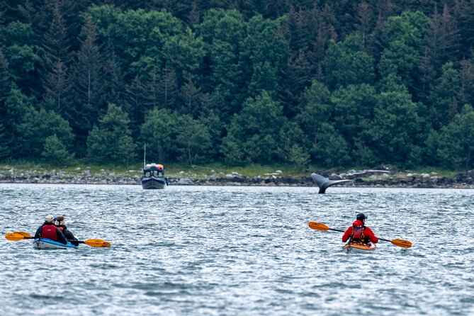 Paddle with Whales Kayak Adventure Juneau - Crossing to the Channel Islands State Marine Park