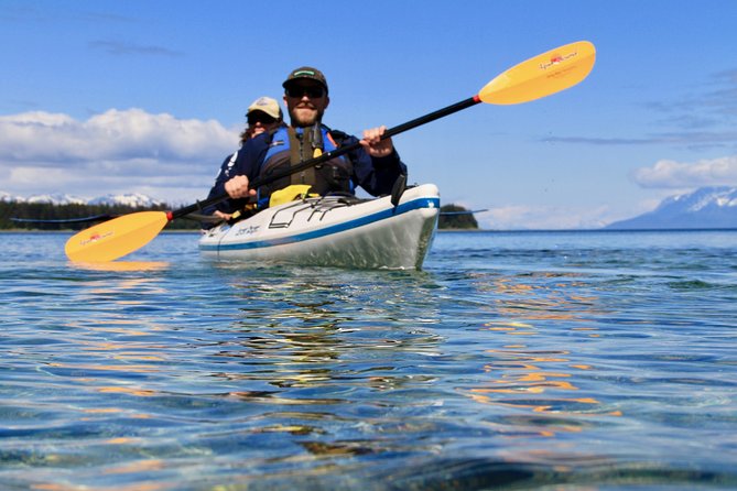 Paddle with Whales Kayak Adventure Juneau - What the whale watching can be like