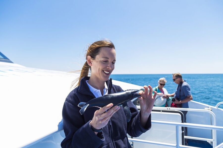 Perth: Whale Watching Cruise from Hillarys Boat Harbour - Food, drinks, comfort, and what to bring