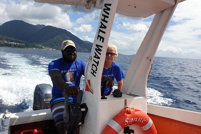PH Whale Watch & Dolphin Cruise in Dominica - Dolphins and other possible sightings