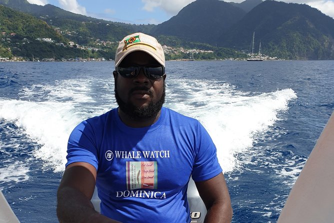 PH Whale Watch & Dolphin Cruise in Dominica - A close view without crowding the animals