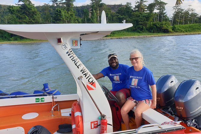 PH Whale Watch & Dolphin Cruise in Dominica - Is $96 a fair price?