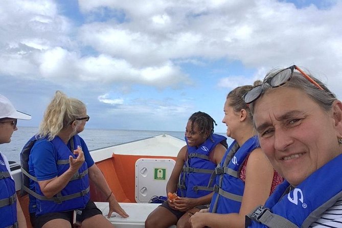 PH Whale Watch & Dolphin Cruise in Dominica - The search for sperm whales