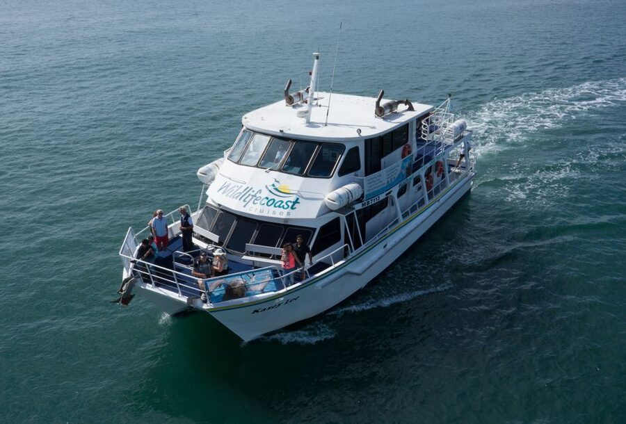 Philip Island: Dolphin and Whale Cruise - What the three-hour length means
