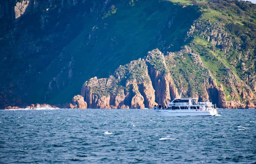 Phillip Island: Whale Watching Boat Tour - What the scenery adds when the whales stay out of sight