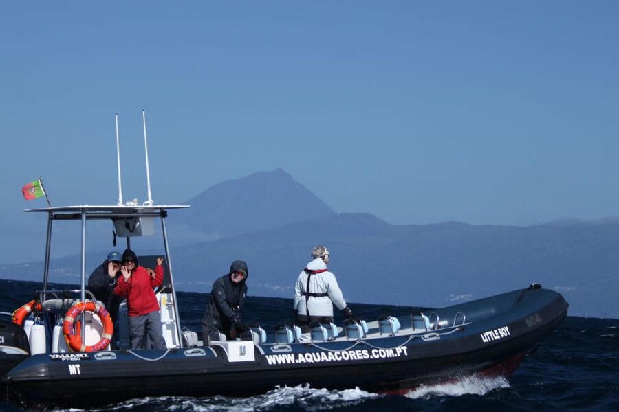Pico Island: Azores Whale & Dolphin Watching on Zodiac Boat - What the Zodiac ride feels like