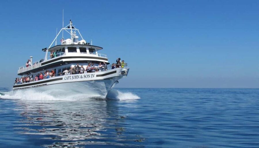 Plymouth: Whale Watching Cruise - The long ride to Stellwagen Bank