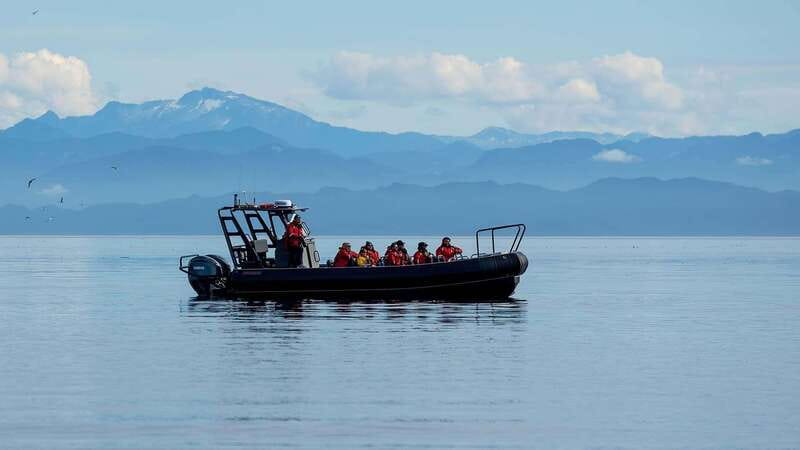 Port Hardy: Sea Otter and Whale Watching - Arriving at 7185 Market Street